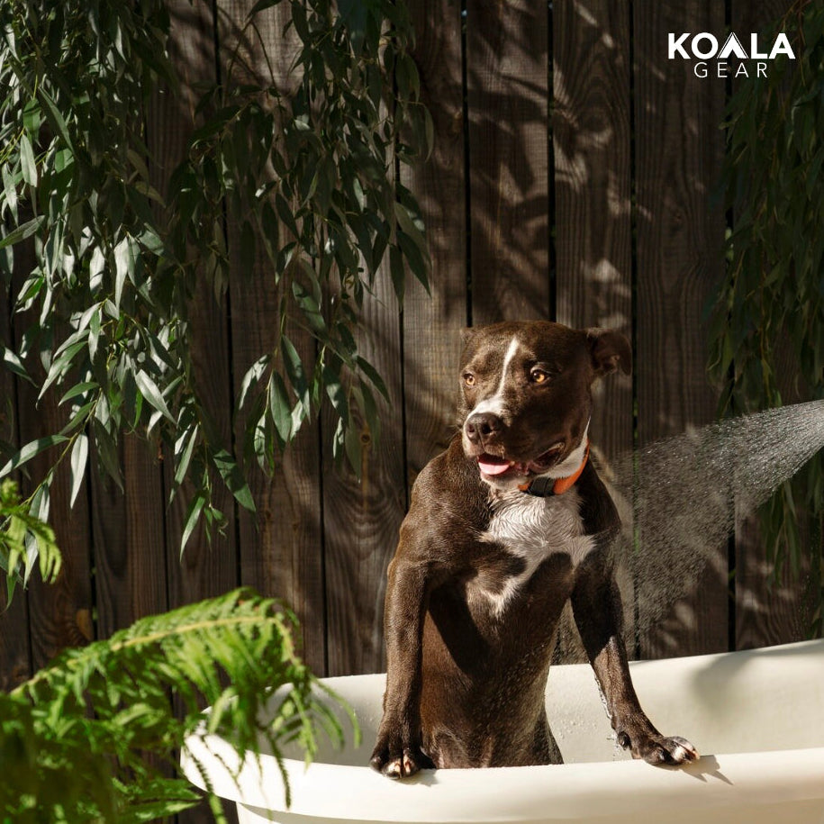 KoalaGear Portable Camping Shower