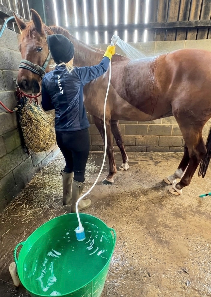 Portable shower being used to wash a horse
